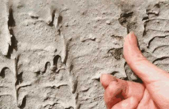 防水层,防水材料,防水堵漏,防水涂料厂家,防水渗漏,中国防水十大品牌,朗凯奇防水