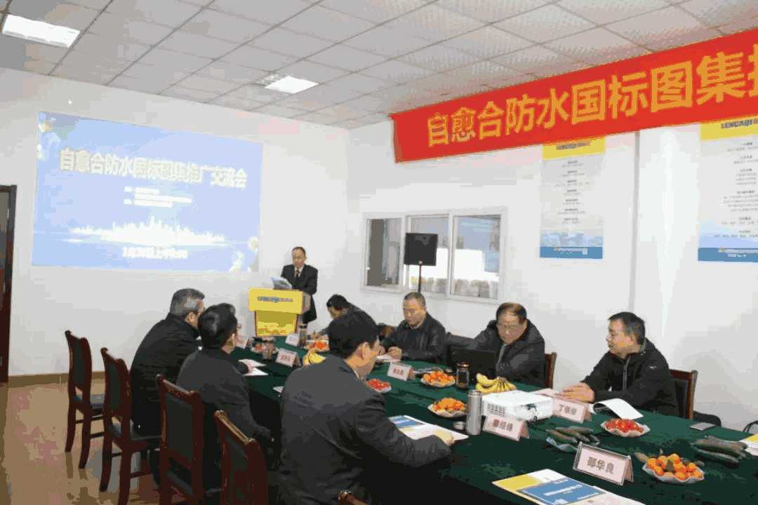 朗凯奇,自愈合防水,防水涂料,防水材料,防水涂料厂家,防水涂料十大品牌,水泥基渗透结晶防水涂料