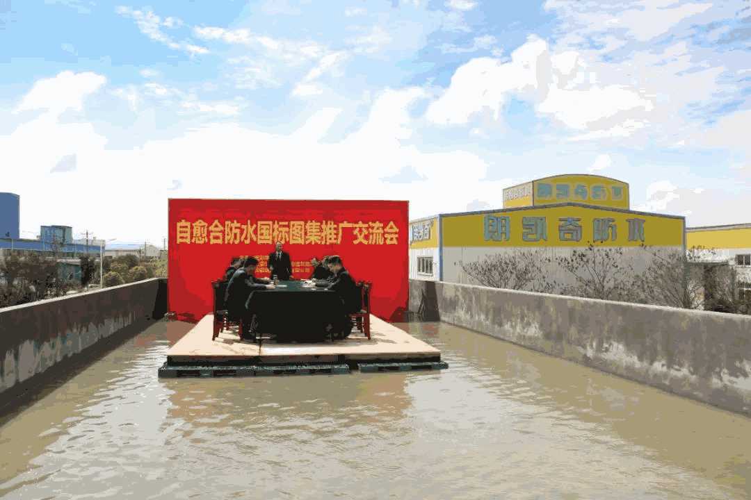 朗凯奇,自愈合防水,防水涂料,防水材料,防水涂料厂家,防水涂料十大品牌,水泥基渗透结晶防水涂料