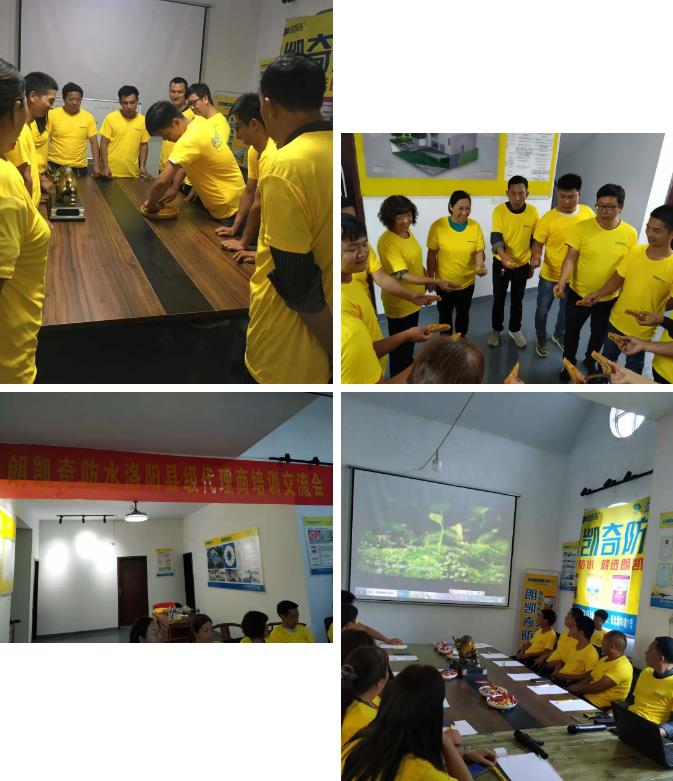 防水涂料厂家,防水材料,防水堵漏材料,朗凯奇,防水代理,招商加盟