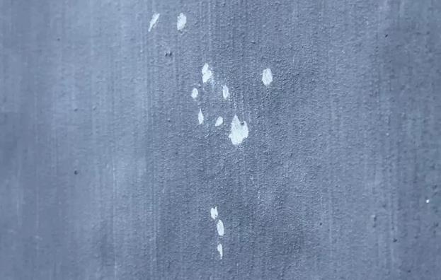 水泥基渗透结晶防水涂料,防水材料施工,防水堵漏,朗凯奇防水,防水涂料,防水抗渗