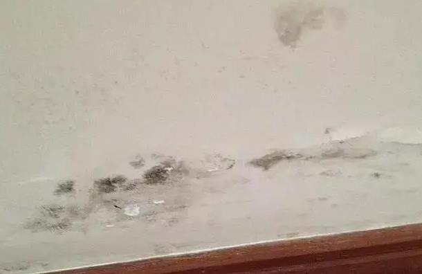 墙面受潮开裂,墙面防水,朗凯奇