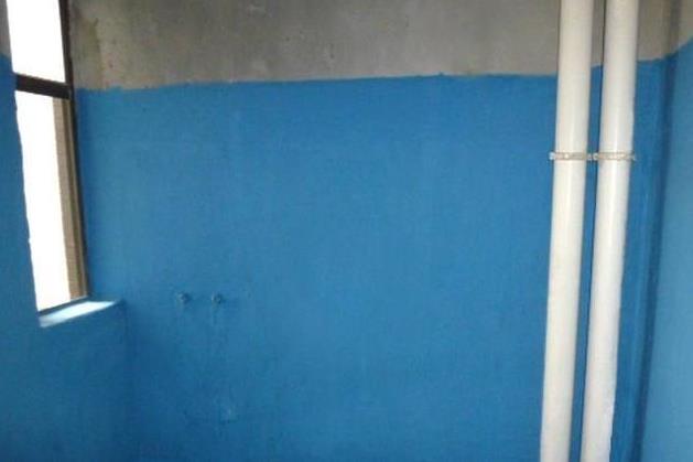 家装防水,防水涂料