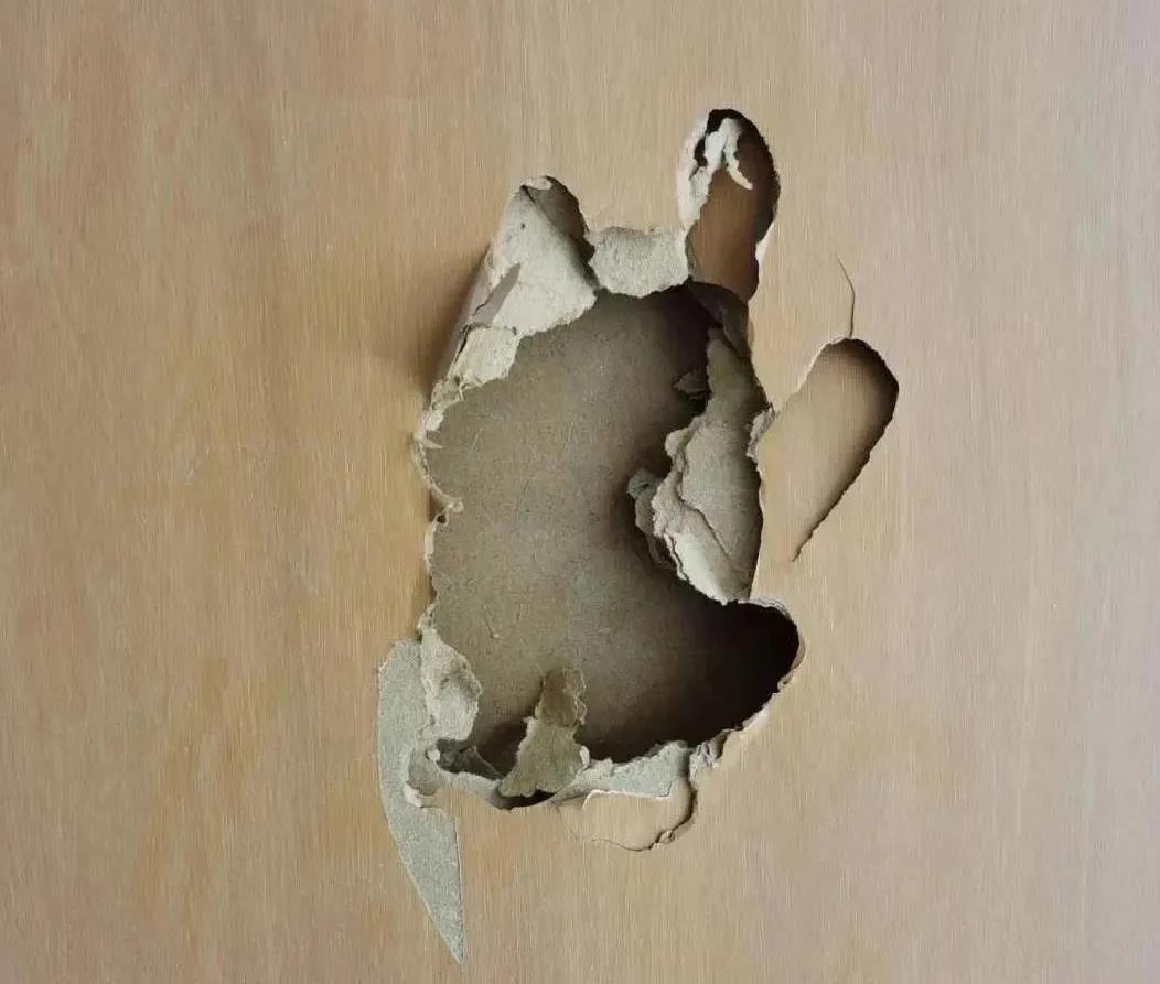 卫生间漏水,防水涂料厂家,防水材料,朗凯奇