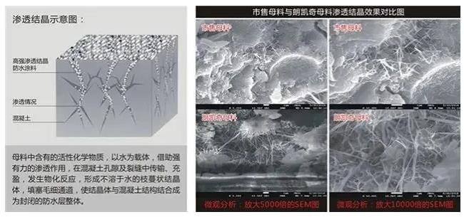 水泥基渗透结晶型防水材料除了可以防水,原来还有这些作用~ 水泥基渗透结晶型防水材料,防水涂料厂家,防水材料,自愈合防水系统