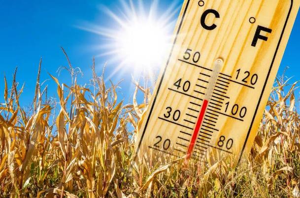 防水涂料施工,防水材料,朗凯奇防水,防水涂料