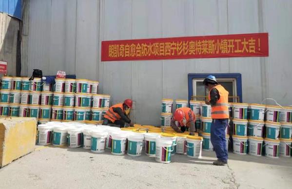 6G水泥基渗透结晶型防水剂 6G水泥基渗透结晶型防水剂,朗凯奇防水,混凝土自结构防水