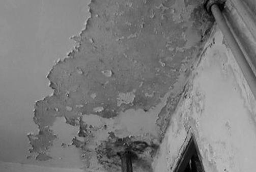 内墙防水施工,JS聚合物防水涂料,防水处理,家装防水涂料,朗凯奇