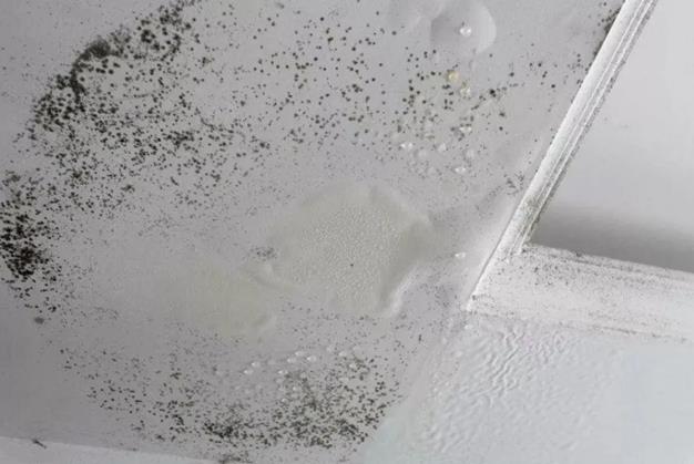 常见家庭渗漏原因有哪些?找到原因不用慌! 家庭渗漏,防水涂料厂家,防水堵漏,防水施工,朗凯奇防水施工