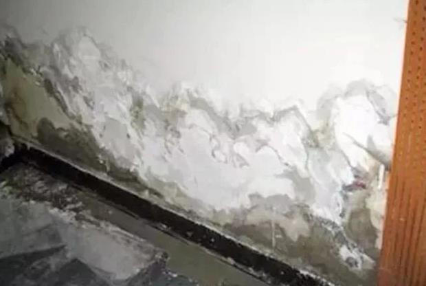 常见家庭渗漏原因有哪些?找到原因不用慌! 家庭渗漏,防水涂料厂家,防水堵漏,防水施工,朗凯奇防水施工