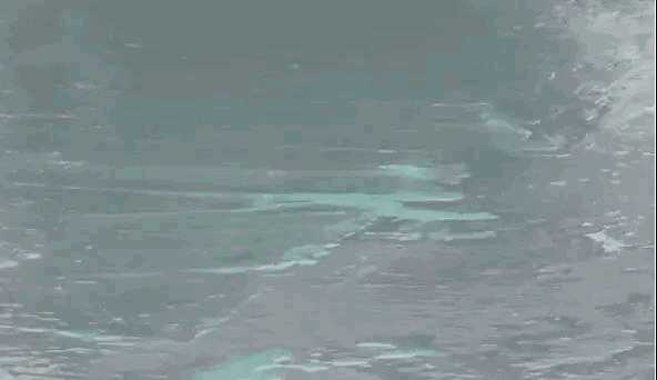 朗凯奇,防水涂料,防水施工,朗凯奇防水,建筑防水材料