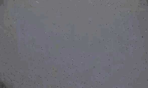 朗凯奇,防水涂料,防水施工,朗凯奇防水,建筑防水材料