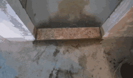 渗水漏水,防水涂料,防水材料,家装防水,防水补漏,朗凯奇防水