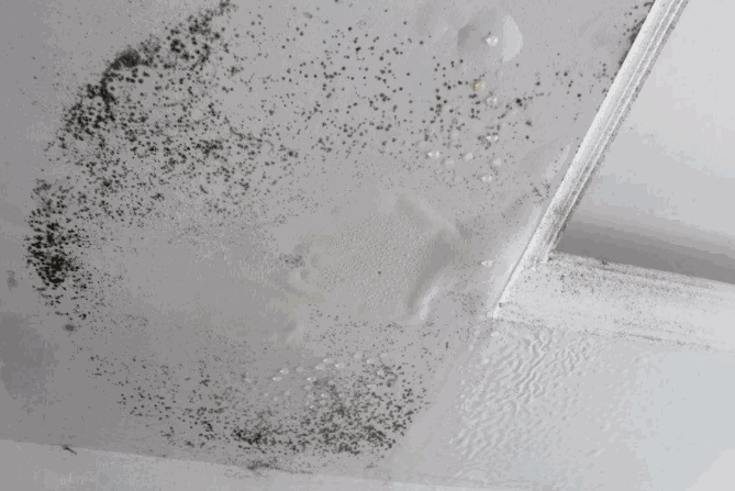 瓦斯爆炸,先关阀门?看防水专家这么说 防水,防水涂料,防水材料,朗凯奇防水,防水堵漏,防漏渗水