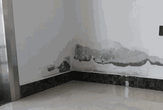 房屋漏水检测,掌握正确方法避免渗漏水 聚合物防水涂料,防水材料,朗凯奇防水,防水施工,防水补漏,防水堵漏,朗凯奇