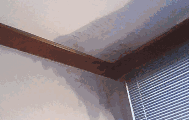 微信截图_20191115172224