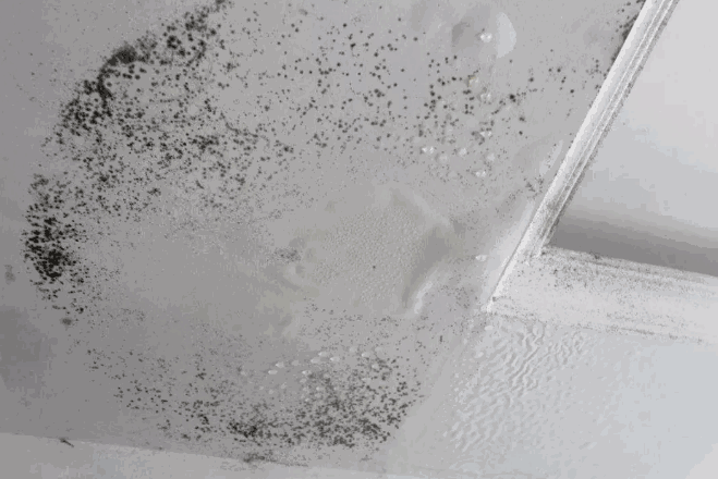 家庭渗漏,渗透防水,防水涂料,防水材料,防水涂料厂家