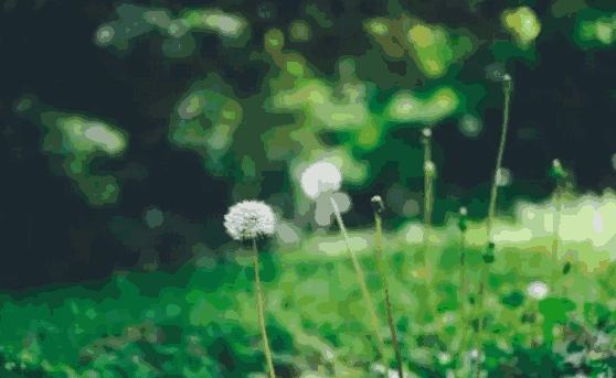 防水工程质量检查的方方面面,一定要细致 防水工程,防水涂料,防水材料,防水涂料十大品牌,朗凯奇防水,防水涂料厂家,防水堵漏