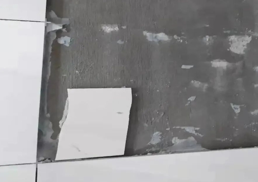 微信截图_20231026110526