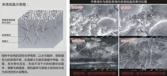 水泥基渗透结晶型防水涂料